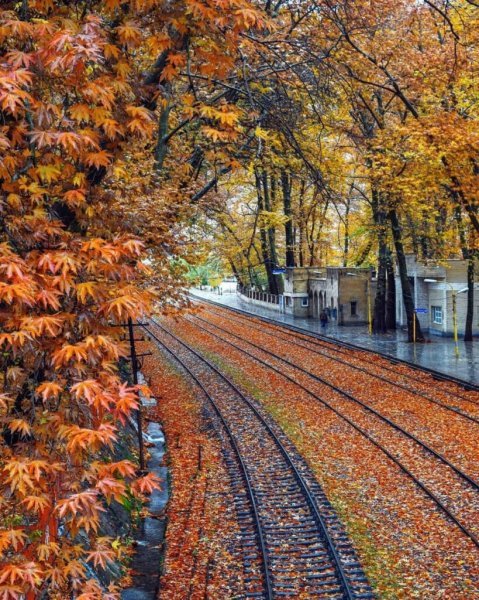  عکس پاییز ایستگاه بیشه