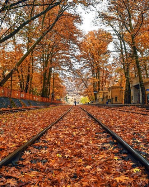  عکس پاییز ایستگاه بیشه