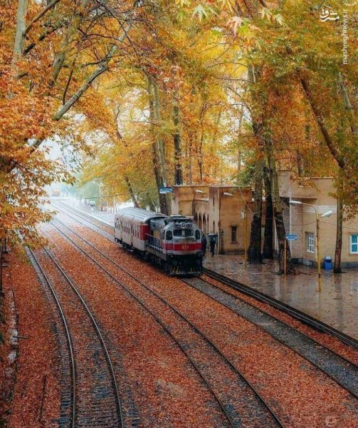  عکس پاییز ایستگاه بیشه
