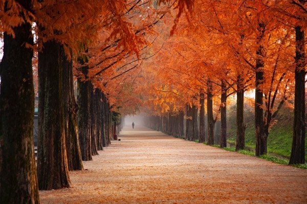  عکس پاییز ایران