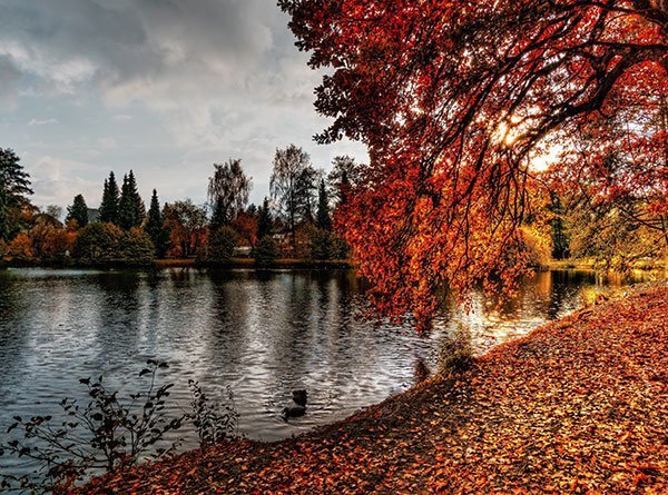  عکس پاییز ایران