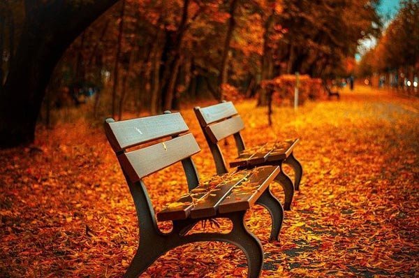  عکس پاییز ایران