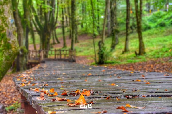  عکس پاییز النگدره گرگان