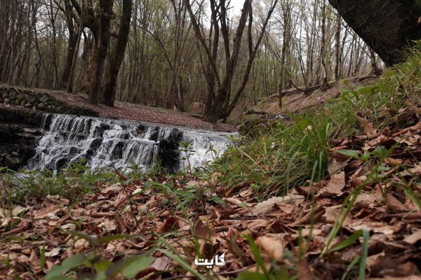  عکس پاییز النگدره گرگان