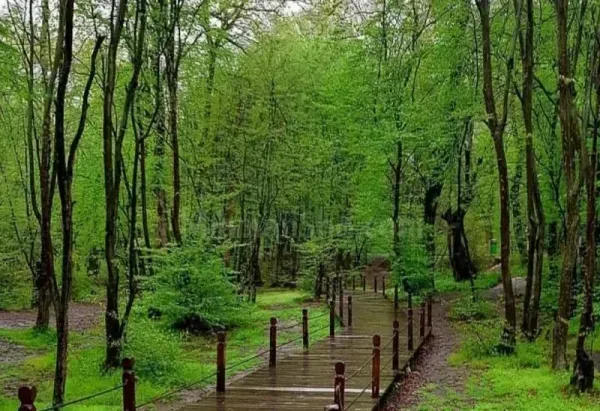 عکس پاییز النگدره گرگان