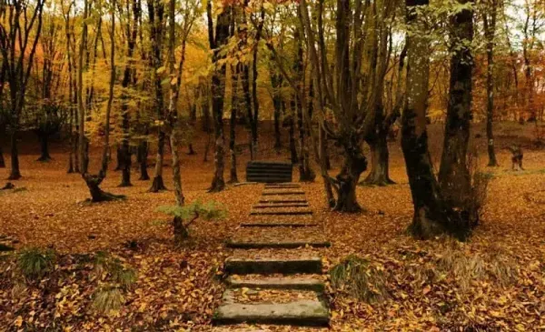  عکس پاییز النگدره گرگان