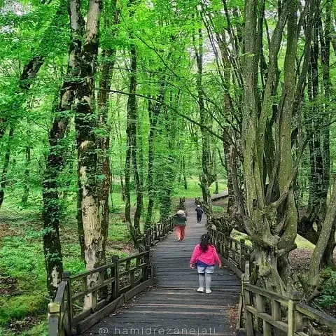  عکس پاییز النگدره گرگان