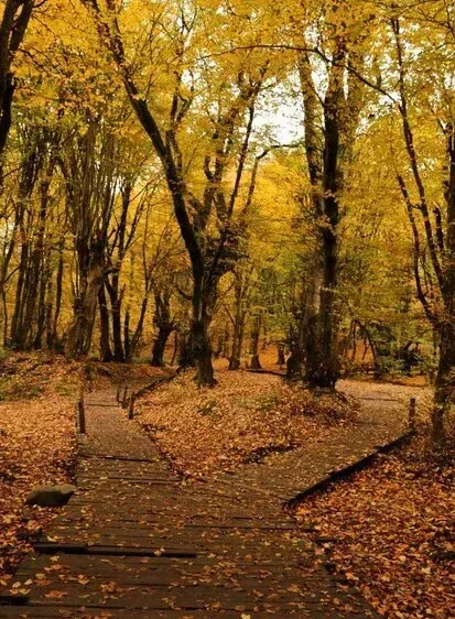  عکس پاییز النگدره گرگان