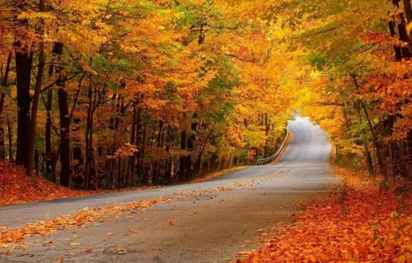  عکس پاییز برای استوری