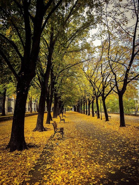  عکس پاییز برای استوری