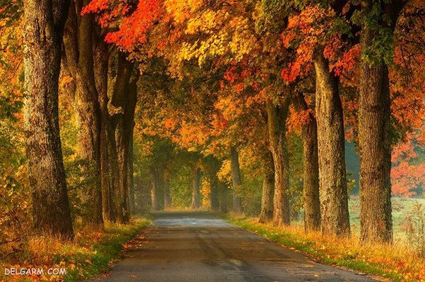  عکس پاییز امسال 1405