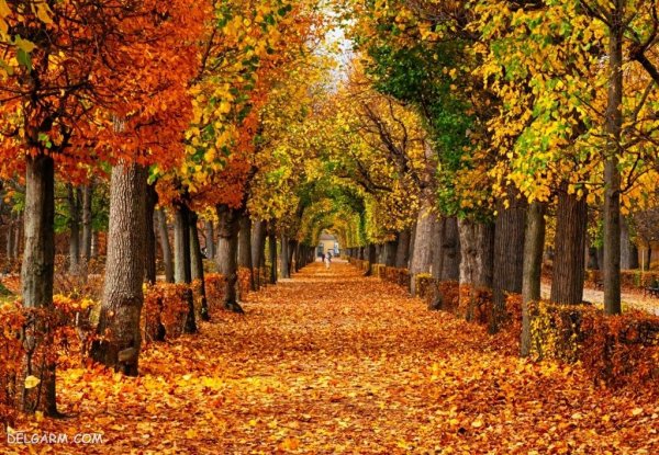  عکس پاییز امسال 1405