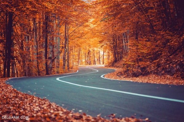  عکس پاییز امسال 1405