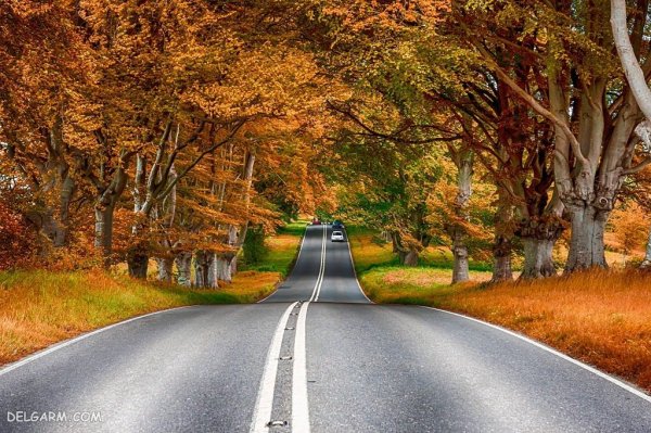 عکس پاییز امسال 1405