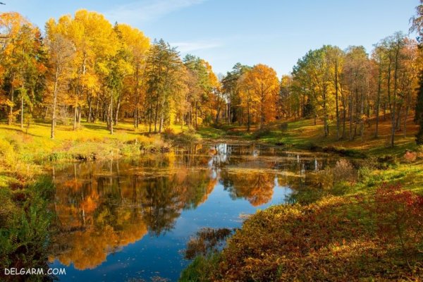  عکس پاییز امسال 1405