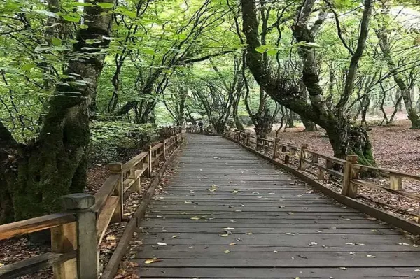  عکس النگدره گرگان زمستان