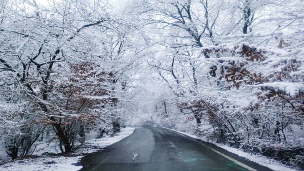 عکس النگدره گرگان زمستان