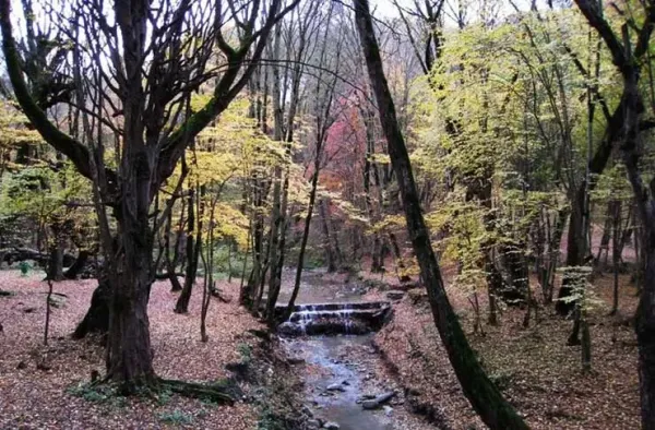  عکس النگدره گرگان زمستان