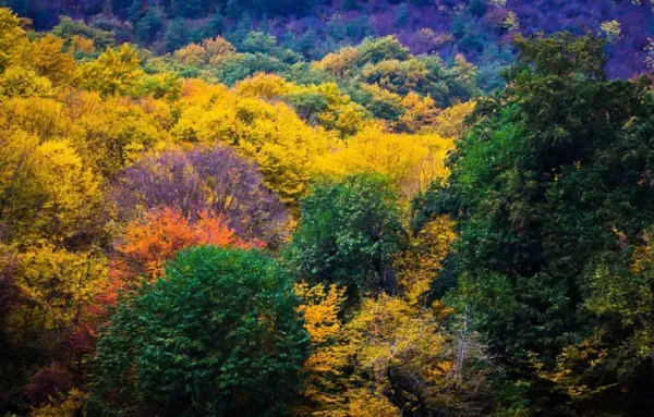  عکس النگدره گرگان پاییز