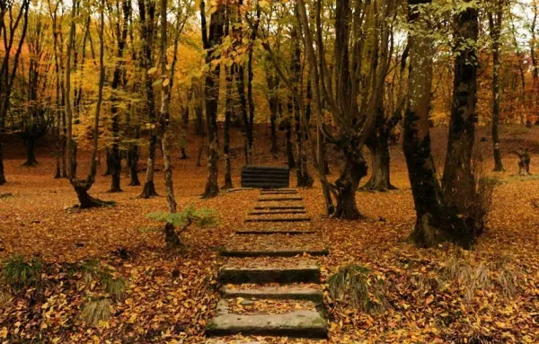  عکس النگدره گرگان پاییز