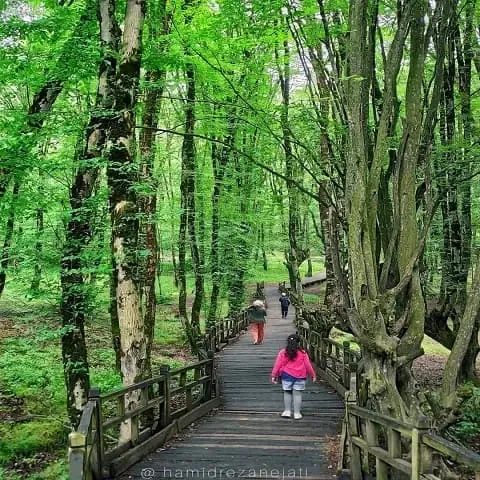  عکس النگدره گرگان پاییز
