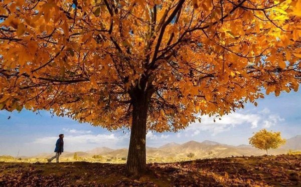  پارک النگدره گرگان + عکس