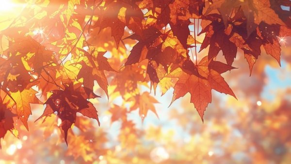  عکس پاییز انیمیشنی