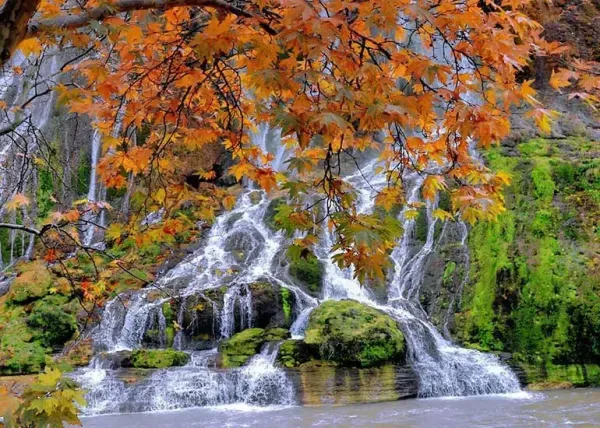  عکس آبشار بیشه