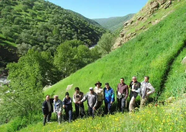  عکس آبشار بیشه در زمستان