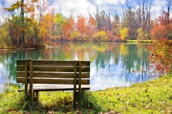  عکس پاییز برای پس زمینه