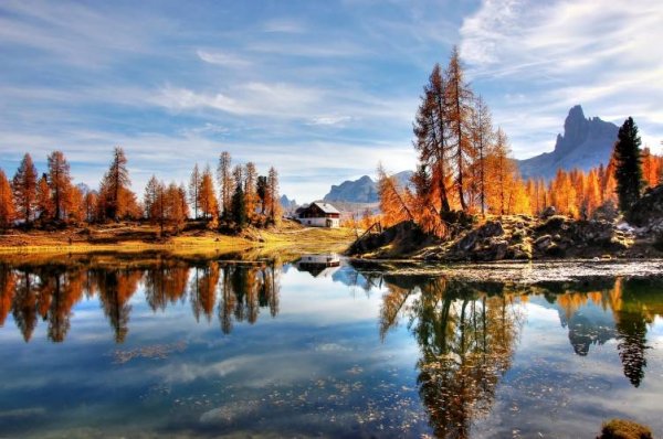  عکس پاییز برای پس زمینه