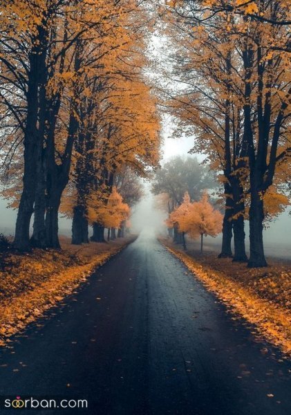 عکس پاییز با کیفیت