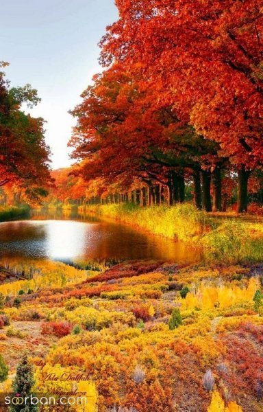 عکس پاییز با کیفیت