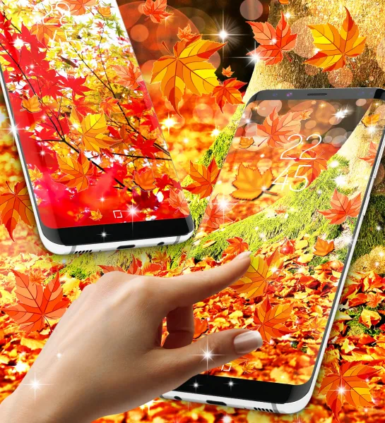 عکس پاییز برای صفحه گوشی