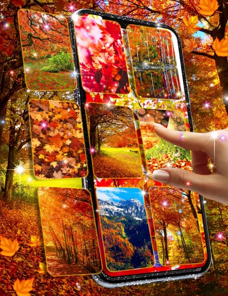  عکس پاییز برای صفحه گوشی