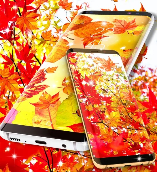  عکس پاییز برای صفحه گوشی