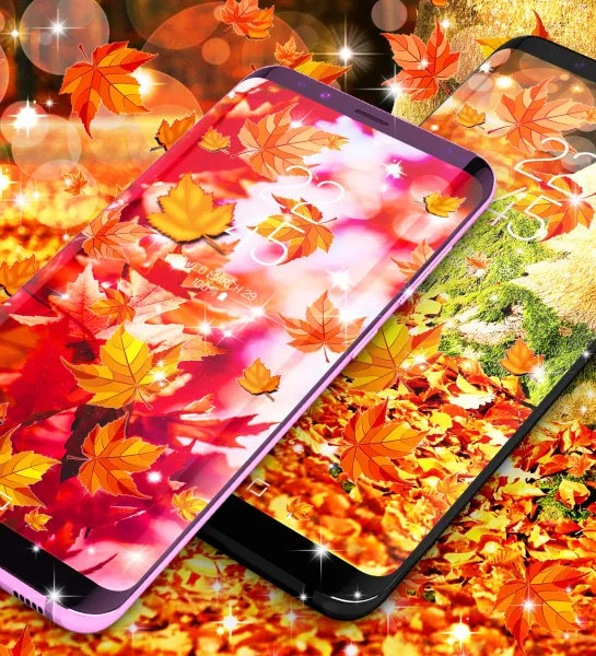  عکس پاییز برای صفحه گوشی