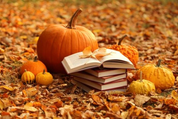  عکس پاییز بارانی متحرک