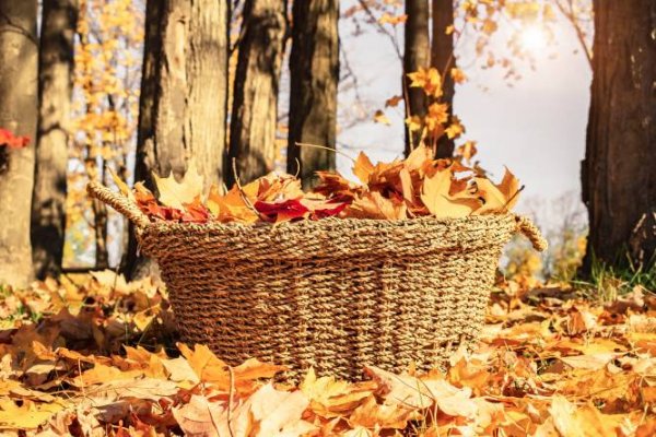  عکس پاییز بارانی متحرک