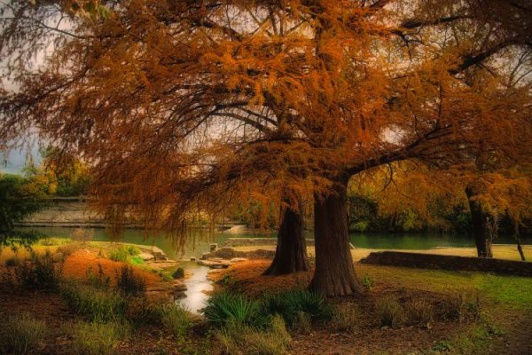  عکس پاییز بارانی متحرک