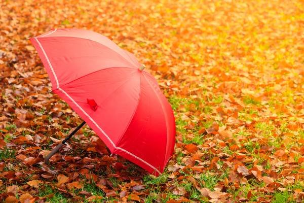  عکس پاییز بارانی متحرک