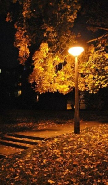  عکس پاییز بارانی دخترانه