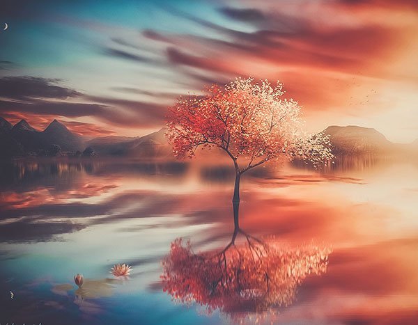 عکس زیبای طبیعت پاییزی