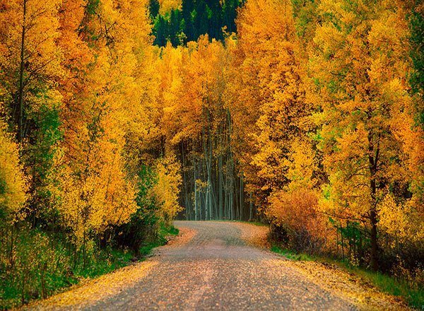  عکس زیبای طبیعت پاییزی