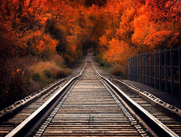  عکس زیبای طبیعت پاییزی