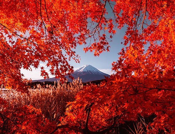  عکس زیبای طبیعت پاییزی