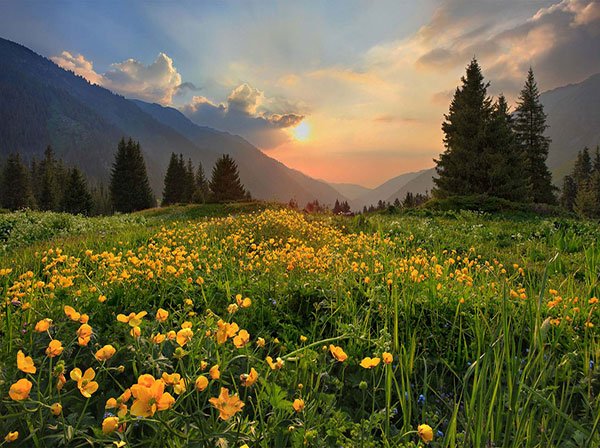  تصاویر زیبا