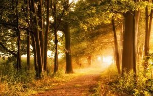 عکس پاییزی طبیعی