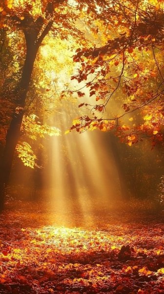  تم پاییزی برای گوشی