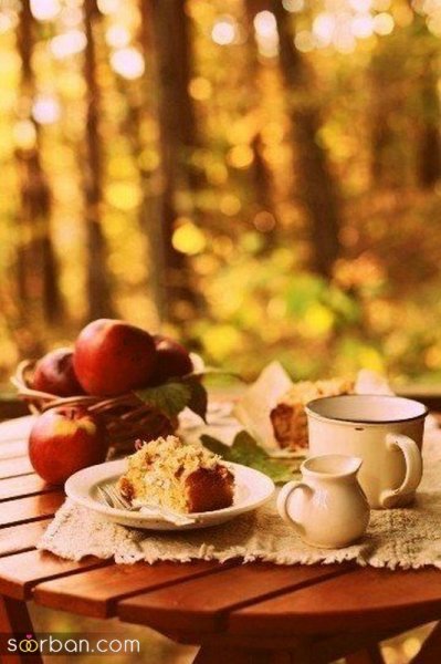 تم تولد پاییزی در طبیعت